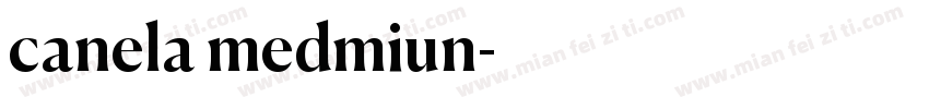 canela medmiun字体转换